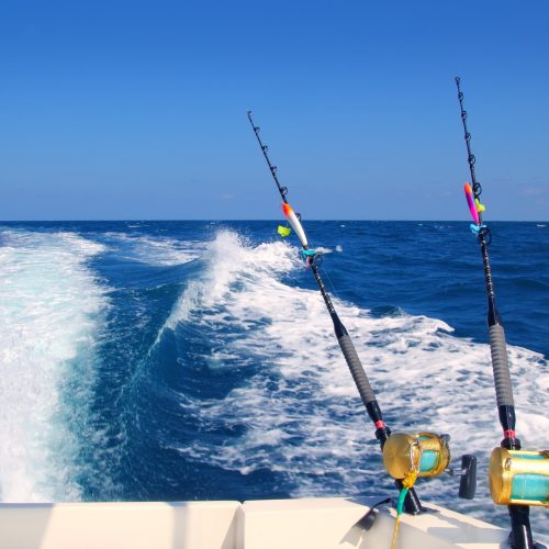 Deep Sea Fishing