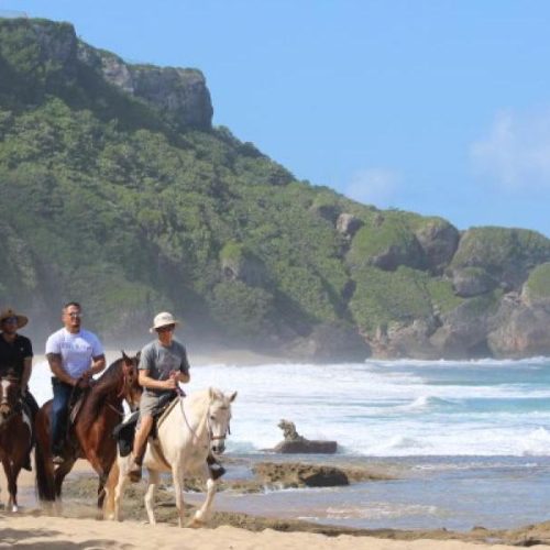 Horseback Riding
